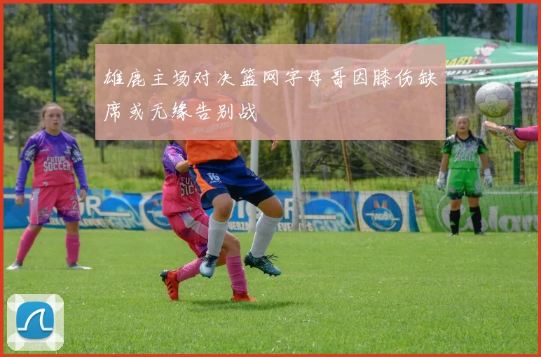 雄鹿主场对决篮网字母哥因膝伤缺席或无缘告别战