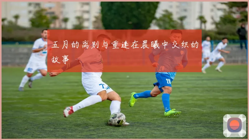 五月的离别与重逢在晨曦中交织的故事